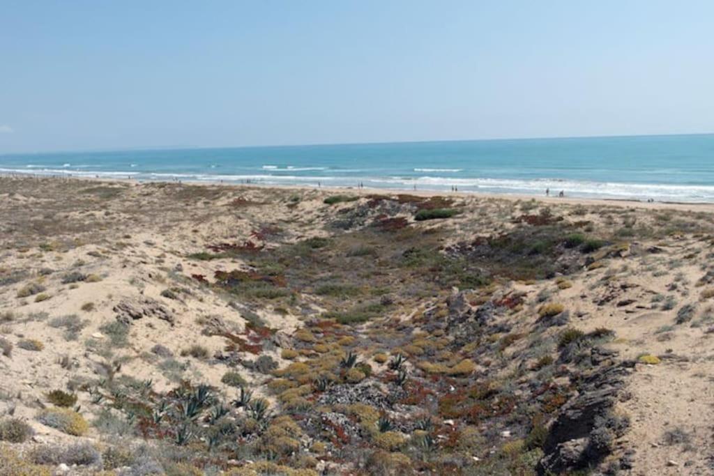 Magerit, Entire 5 Minutes Easy Walk To Sandy * La Mata (Torrevieja)