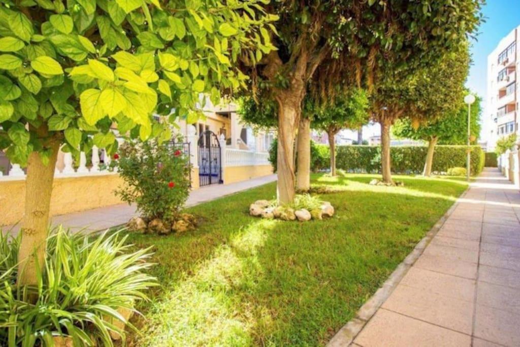 Magerit, Entire 5 Minutes Easy Walk To Sandy La Mata (Torrevieja)